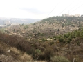 בתים למכירה בירושלים.